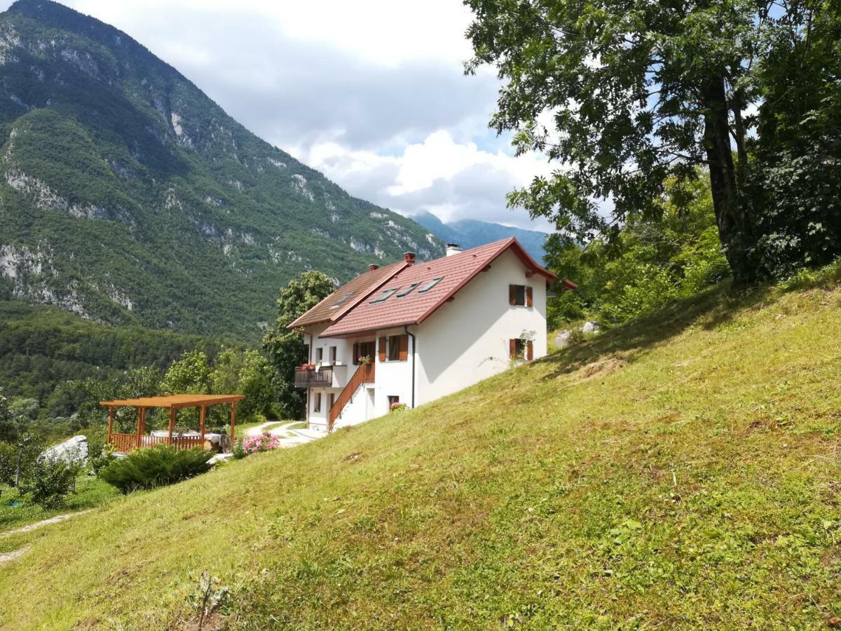 Apartma Ana Ida Srpenica Exterior photo